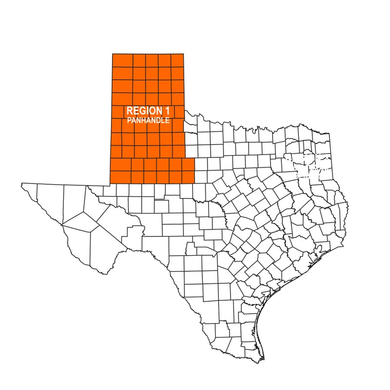 REGION 1 - Panhandle