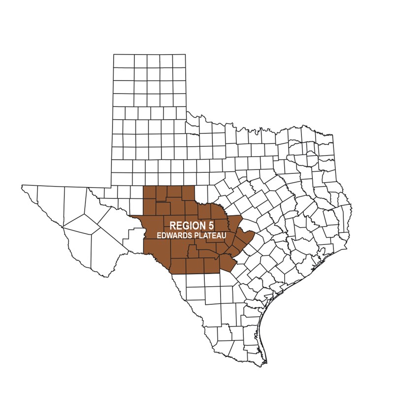 REGION 5 – Edwards Plateau
