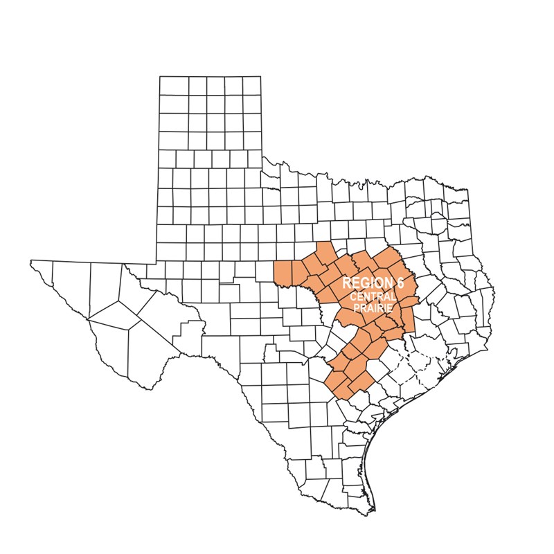 REGION 6 – Central Prairie