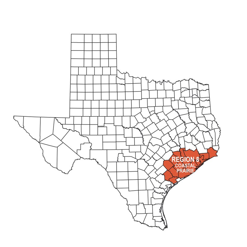 REGION 8 – Coastal Prairie